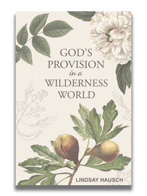 June-Studies-Gods-Provisions