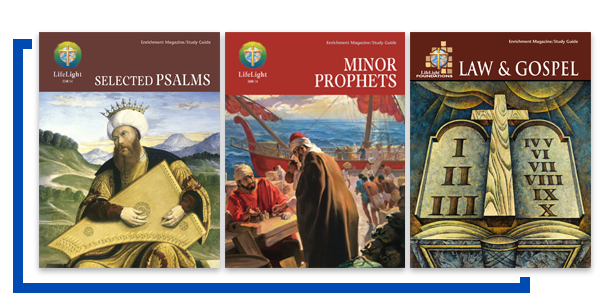 Lifelight-Series-Warehouse-1