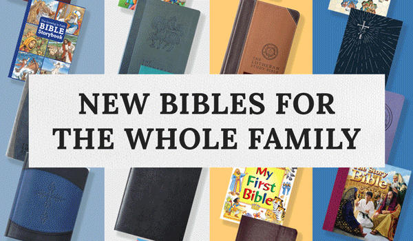 New Bibles for the Whole Family