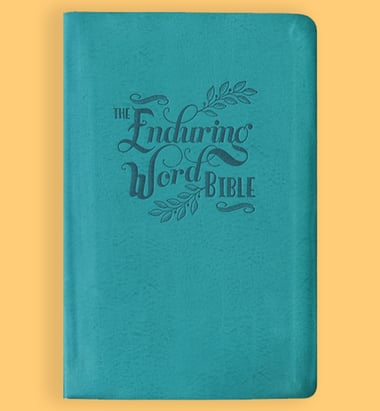 012144 The Enduring Word Bible