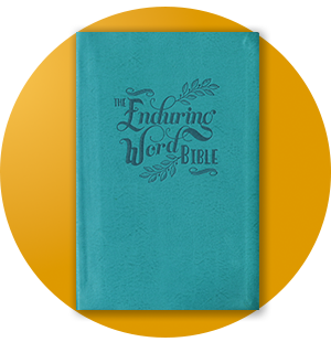 012144-TheEnduringWordBible