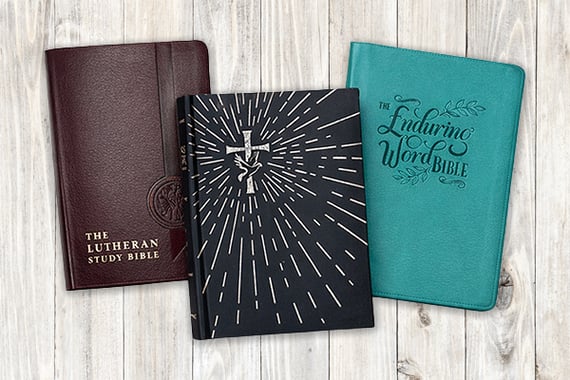SpringSale 2026 Bibles